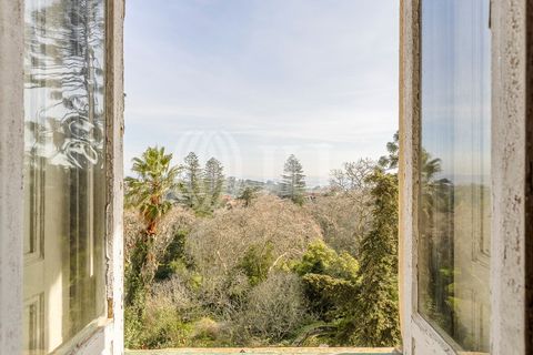 Farm i Sintra, Lisbon, Sintra - € 16.500.000 | Ref: 77659 - foto 31