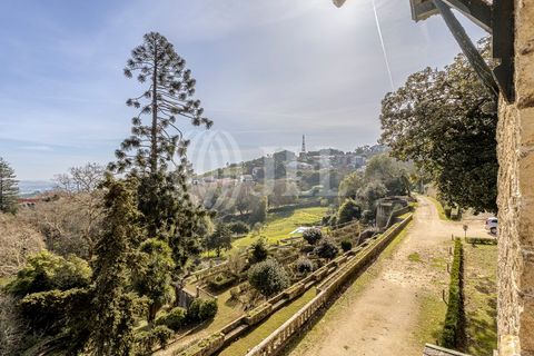 Farm i Sintra, Lisbon, Sintra - € 16.500.000 | Ref: 77659 - foto 32