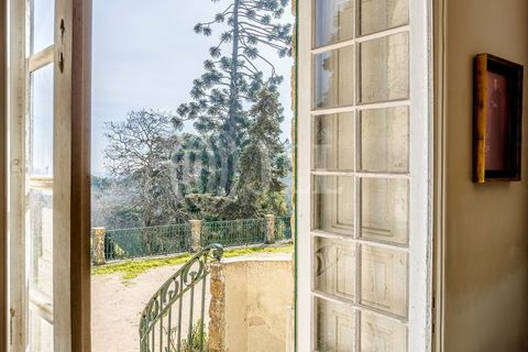 Farm i Sintra, Lisbon, Sintra - € 16.500.000 | Ref: 77659 - foto 46