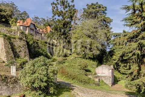 Farm i Sintra, Lisbon, Sintra - € 16.500.000 | Ref: 77659 - foto 50