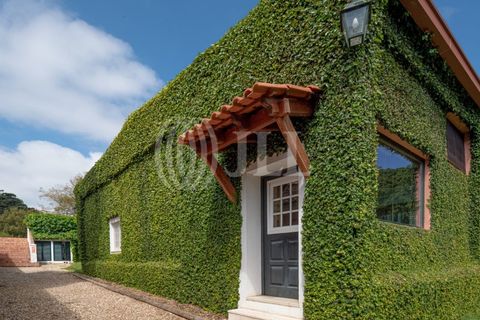Farm i Sintra, Lisbon, Sintra - € 24.000.000 | Ref: 67057 - foto 15