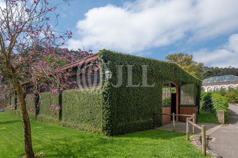 Farm i Sintra, Lisbon, Sintra - € 24.000.000 | Ref: 67057 - foto 16
