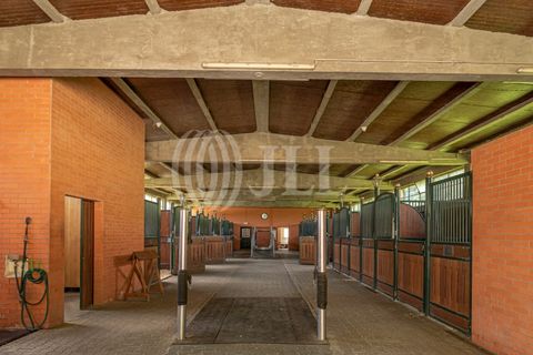 Farm i Sintra, Lisbon, Sintra - € 24.000.000 | Ref: 67057 - foto 17