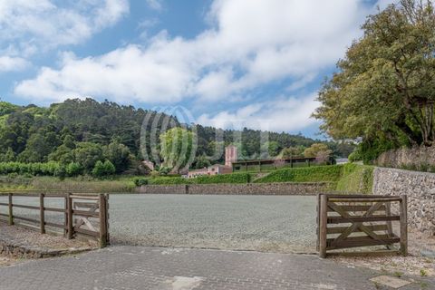 Farm i Sintra, Lisbon, Sintra - € 24.000.000 | Ref: 67057 - foto 18