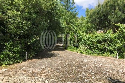Gård i Fafe, Braga, Fafe - € 1 100 000 | Ref: 49135 - foto 24