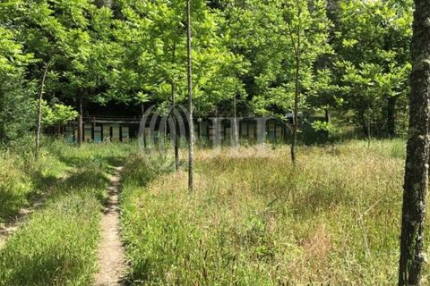 Gård i Fafe, Braga, Fafe - € 1 100 000 | Ref: 49135 - foto 26
