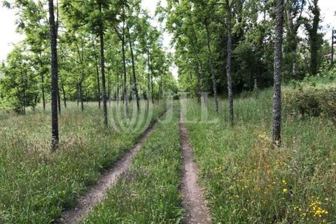 Gård i Fafe, Braga, Fafe - € 1 100 000 | Ref: 49135 - foto 28