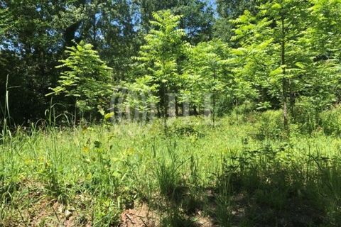Gård i Fafe, Braga, Fafe - € 1 100 000 | Ref: 49135 - foto 37