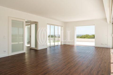 Helårsgrund i Vau, Leiria, Vau - € 160.000 | Ref: 87974 - foto 12