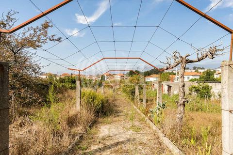 Villa a Perafita, Porto, Perafita - € 790.000 | Ref: 66766 - foto 24