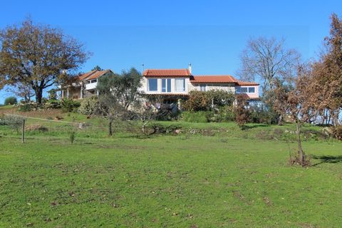 Farm i Travancinha, Guarda, Travancinha - € 699.000 | Ref: 2777 QUI - foto 1