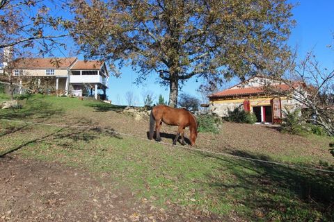 Farm i Travancinha, Guarda, Travancinha - € 699.000 | Ref: 2777 QUI - foto 2