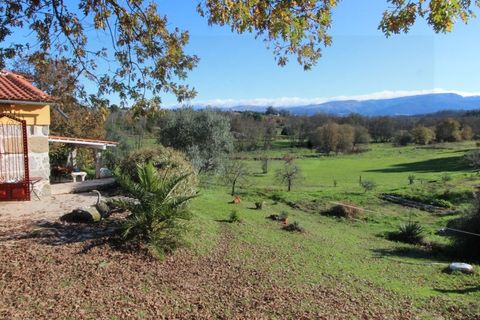 Farm i Travancinha, Guarda, Travancinha - € 699.000 | Ref: 2777 QUI - foto 4