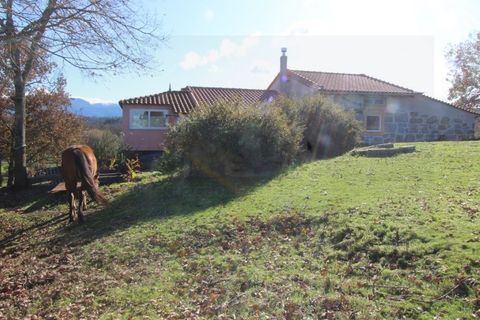 Farm i Travancinha, Guarda, Travancinha - € 699.000 | Ref: 2777 QUI - foto 5