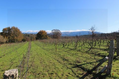 Farm i Travancinha, Guarda, Travancinha - € 699.000 | Ref: 2777 QUI - foto 6