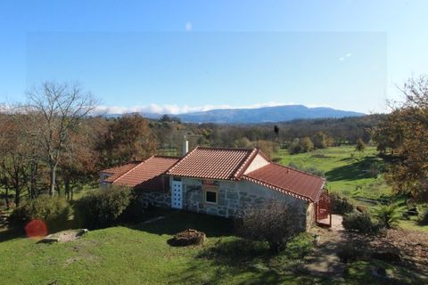 Farm i Travancinha, Guarda, Travancinha - € 699.000 | Ref: 2777 QUI - foto 7
