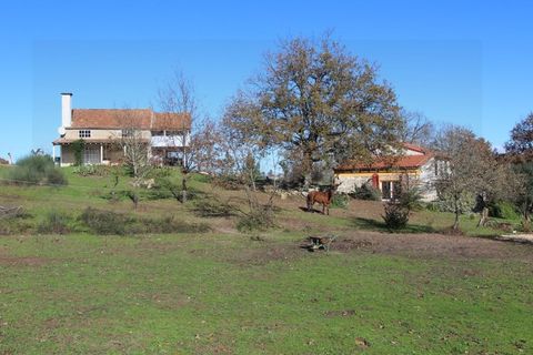 Farm i Travancinha, Guarda, Travancinha - € 699.000 | Ref: 2777 QUI - foto 8