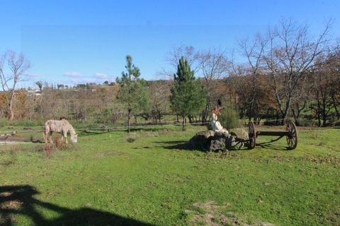 Farm i Travancinha, Guarda, Travancinha - € 699.000 | Ref: 2777 QUI - foto 10