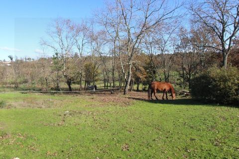 Farm i Travancinha, Guarda, Travancinha - € 699.000 | Ref: 2777 QUI - foto 11