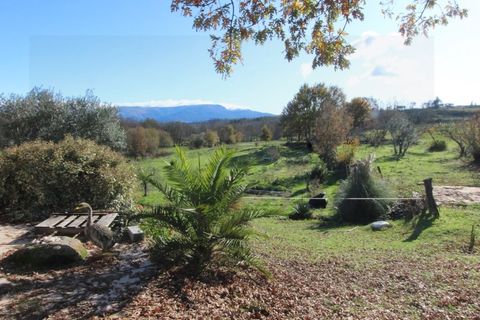 Farm i Travancinha, Guarda, Travancinha - € 699.000 | Ref: 2777 QUI - foto 13