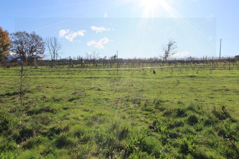 Farm i Travancinha, Guarda, Travancinha - € 699.000 | Ref: 2777 QUI - foto 14