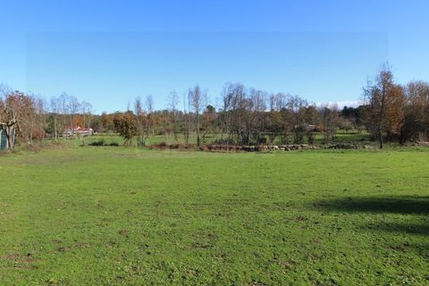 Farm i Travancinha, Guarda, Travancinha - € 699.000 | Ref: 2777 QUI - foto 15