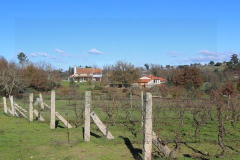 Farm i Travancinha, Guarda, Travancinha - € 699.000 | Ref: 2777 QUI - foto 18