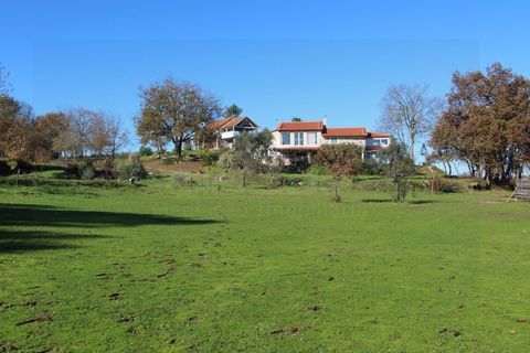 Farm i Travancinha, Guarda, Travancinha - € 699.000 | Ref: 2777 QUI - foto 20