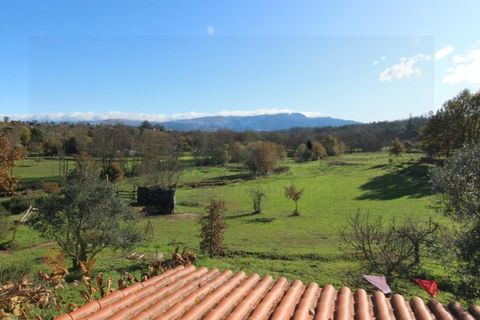 Farm i Travancinha, Guarda, Travancinha - € 699.000 | Ref: 2777 QUI - foto 21
