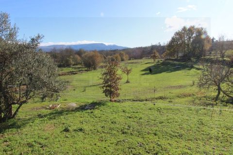 Farm i Travancinha, Guarda, Travancinha - € 699.000 | Ref: 2777 QUI - foto 23