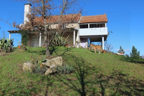 Farm i Travancinha, Guarda, Travancinha - € 699.000 | Ref: 2777 QUI - foto 36