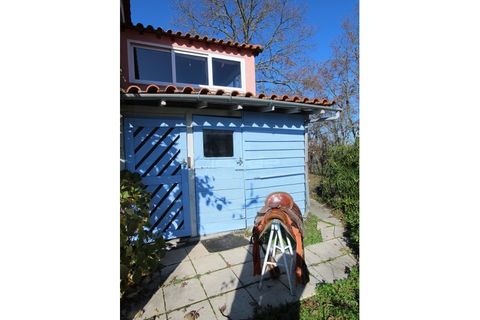 Farm i Travancinha, Guarda, Travancinha - € 699.000 | Ref: 2777 QUI - foto 50