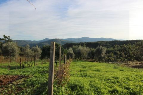 Masia a Coimbra, Coimbra, Coimbra - € 95.000 | Ref: 2425 MR2 - foto 4