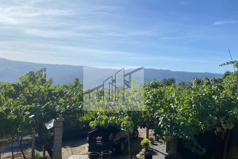 Farm i Baiao, Porto, Baiao - € 185.000 | Ref: MAS_270 - foto 2