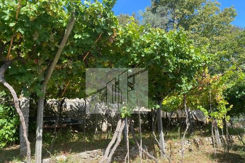 Farm i Baiao, Porto, Baiao - € 185.000 | Ref: MAS_270 - foto 6