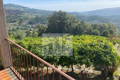 Farm i Baiao, Porto, Baiao - € 185.000 | Ref: MAS_270 - foto 15