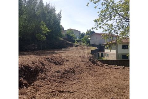 Landejendom i Santo Tirso, Porto, Santo Tirso - € 180.000 | Ref: CAS_157 - foto 3