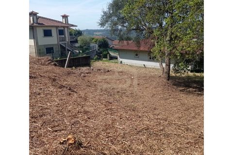 Landejendom i Santo Tirso, Porto, Santo Tirso - € 180.000 | Ref: CAS_157 - foto 5