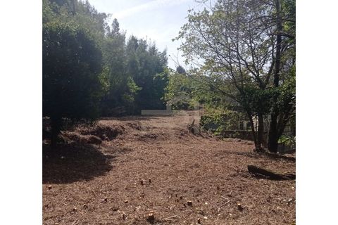 Landejendom i Santo Tirso, Porto, Santo Tirso - € 180.000 | Ref: CAS_157 - foto 6