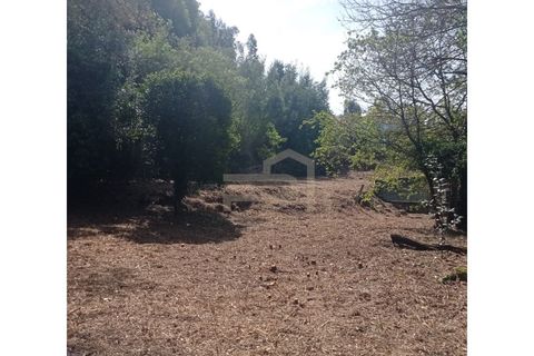 Landejendom i Santo Tirso, Porto, Santo Tirso - € 180.000 | Ref: CAS_157 - foto 7