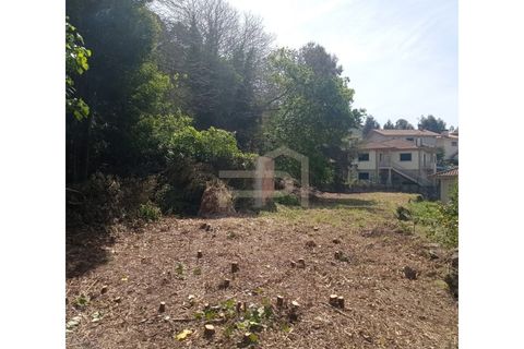 Landejendom i Santo Tirso, Porto, Santo Tirso - € 180.000 | Ref: CAS_157 - foto 10