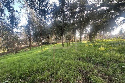 Helårsgrund i Santo Tirso, Porto, Santo Tirso - € 210.000 | Ref: SÒL_247 - foto 3