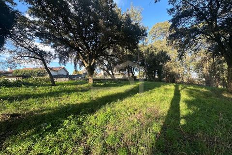 Helårsgrund i Santo Tirso, Porto, Santo Tirso - € 210.000 | Ref: SÒL_247 - foto 4