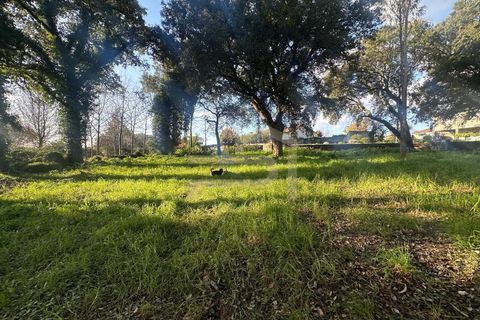 Helårsgrund i Santo Tirso, Porto, Santo Tirso - € 210.000 | Ref: SÒL_247 - foto 5
