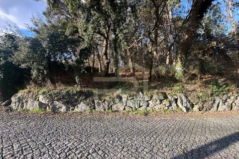 Helårsgrund i Santo Tirso, Porto, Santo Tirso - € 210.000 | Ref: SÒL_247 - foto 6
