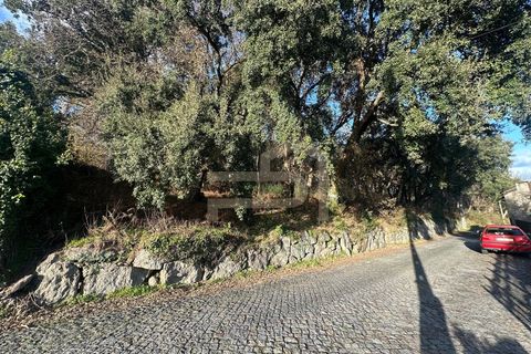 Helårsgrund i Santo Tirso, Porto, Santo Tirso - € 210.000 | Ref: SÒL_247 - foto 7