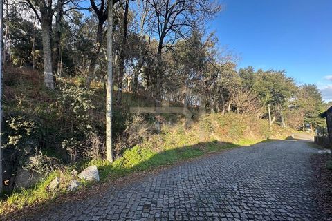Helårsgrund i Santo Tirso, Porto, Santo Tirso - € 210.000 | Ref: SÒL_247 - foto 8