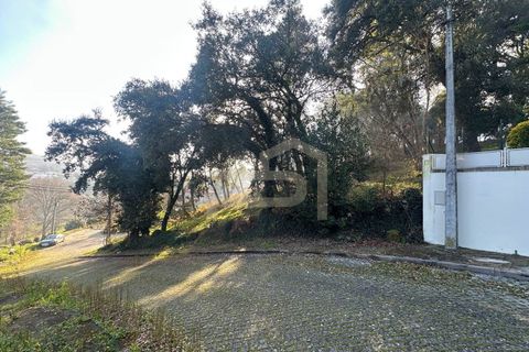 Helårsgrund i Santo Tirso, Porto, Santo Tirso - € 210.000 | Ref: SÒL_247 - foto 11