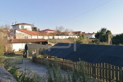 Tomt i Ribeirao, Braga, Ribeirao - € 215 000 | Ref: TER_245 - foto 2