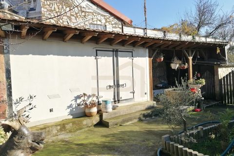 Tomt i Ribeirao, Braga, Ribeirao - € 215 000 | Ref: TER_245 - foto 5